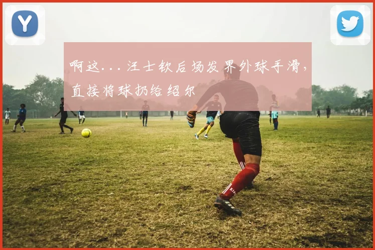 啊这...汪士钦后场发界外球手滑，直接将球扔给绍尔